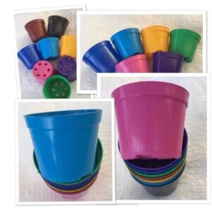 Vasos para Suculentas - 35 Unidades