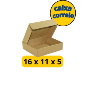 Caixas de Papelão Ondas B - 100 Unidades