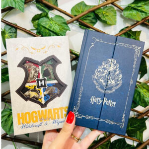 Planner Diário Harry Potter Original