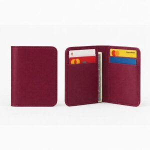 Porta-Cartões Negócios Unissex - Kit 10