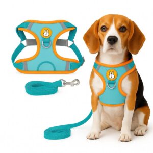 Peitoral Refletivo com Guia para Pets