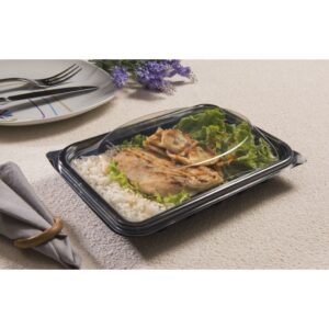 10 embalagem Bandeja Multiuso - 1000ml G 335 galvanotek delivery 26,5x18,5x3 cm