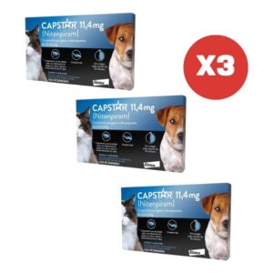 Kit 3 Capstar 11mg Antipulgas Cães Gatos até 11,4kg Elanco