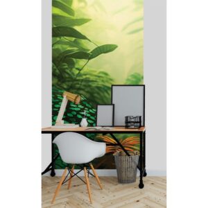 Papel de Parede 3D Floresta Tropical Autocolante 1m x 3m