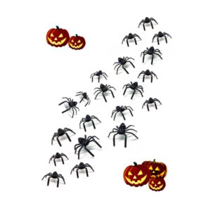 Aranha e Dentadura Vampiro Halloween Festa