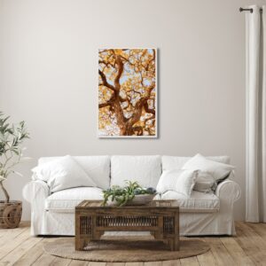 Quadro Paisagem Árvore Ipe Amarelo com Moldura