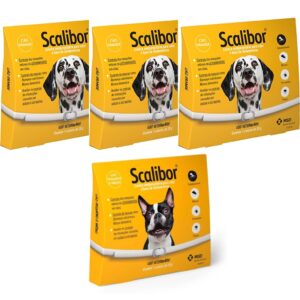 3 Coleira Scalibor G 65CM +1 Scalibor P 48CM Leishmaniose