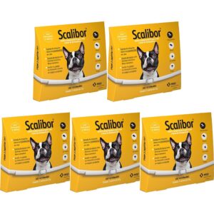 5 Coleira Scalibor P 48cm Leishmaniose Antipulgas Cães MSD