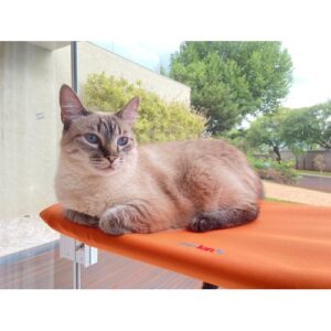 CAMA DE JANELA PARA GATOS PETLON - LARANJA