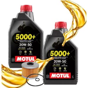 Troca de Óleo Cbx 250 Twister / Xr 250 Tornado / Cb 300r Motul 20w50 + Filtro C/ Oring
