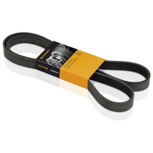 Correia Alternador Poly V Stilo 1.8 8v 2002/ Em diante Continental