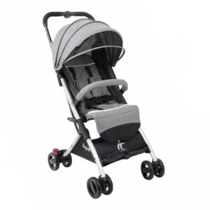 Carrinho de Bebê Burigotto It Metal Prata