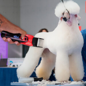 Máquina de tosa P/ Pets Profissional VGR OIV-208 USB 110/220V lâminas de cerâmica e Led - Aleatório