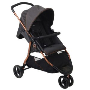 Carrinho de Bebê Burigotto Cr3 15kg