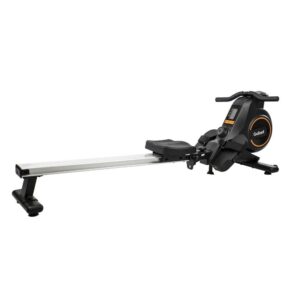 Remo Seco Indoor Gallant GRS03HMGA-PT
