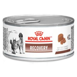 Royal Canin Vet Caes Gatos Lata Recovery 195g