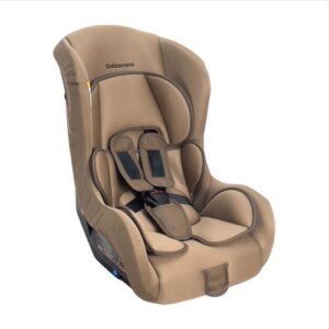 Cadeira Auto Galzerano Maximus 0-25kg