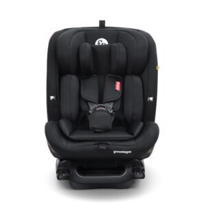 Cadeira Auto Infantil Fisher Price Isofix Growstages