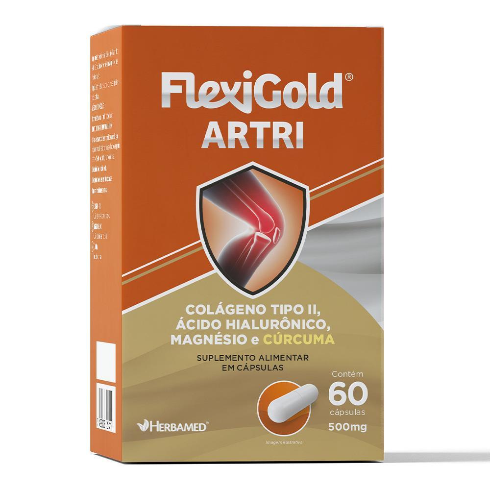 Flexigold Artri - Col?geno, ?cido Hialur?nico 1 Flexigold Colágeno + Ácido H. + Magnésio + Cúrcuma - 60 Cáps