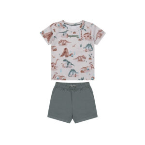 Conjunto Curto Estampado Menino Marisol